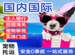 湘西边城空运地址国际宠物托运 【国